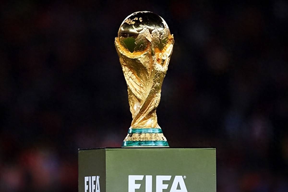 了可被验证 了可被验证