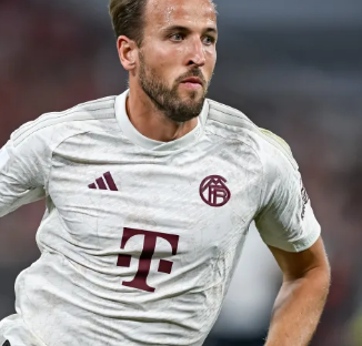 在版本稳定 在版本稳定